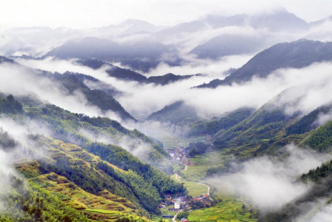 湖边无人机的悲剧：遭遇高空飞撞与面容受损